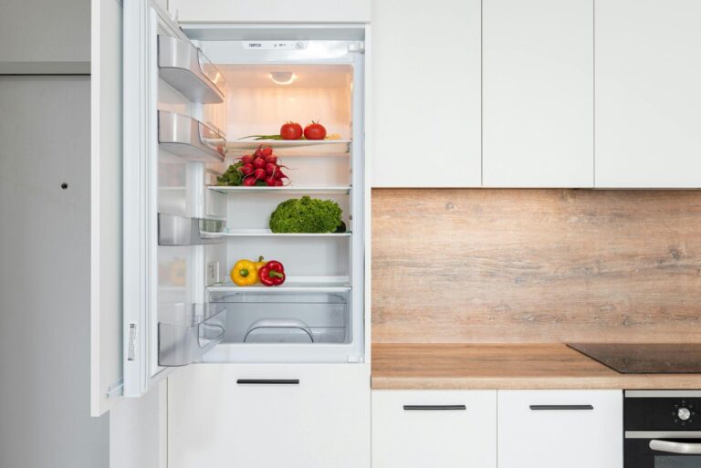 Eco-Friendly Refrigerators